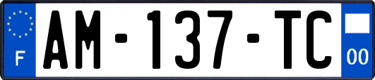 AM-137-TC