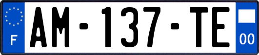 AM-137-TE
