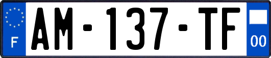 AM-137-TF