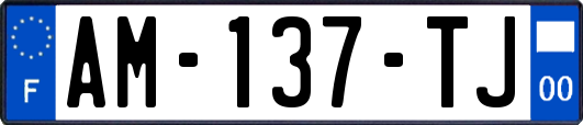 AM-137-TJ