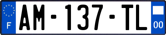 AM-137-TL