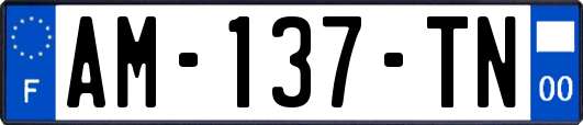 AM-137-TN