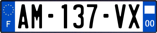 AM-137-VX