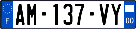 AM-137-VY