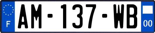 AM-137-WB