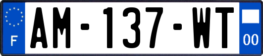 AM-137-WT