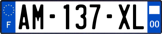 AM-137-XL