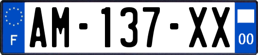 AM-137-XX