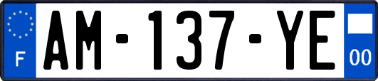 AM-137-YE