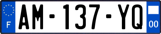 AM-137-YQ