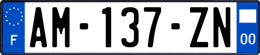 AM-137-ZN