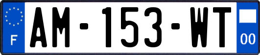 AM-153-WT
