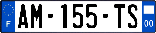 AM-155-TS