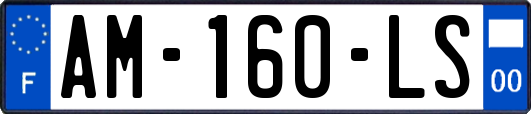 AM-160-LS