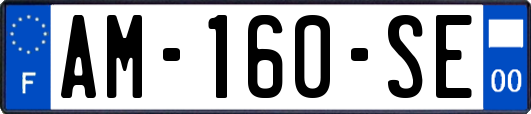 AM-160-SE