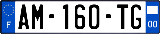 AM-160-TG