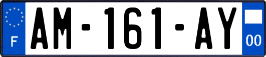 AM-161-AY