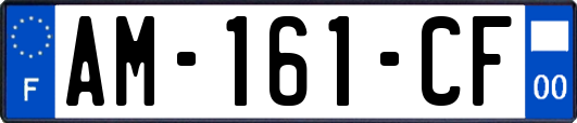 AM-161-CF