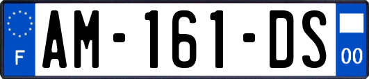 AM-161-DS