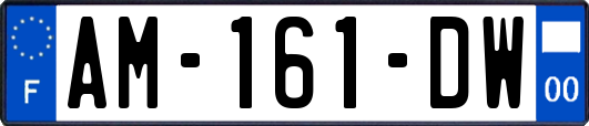 AM-161-DW