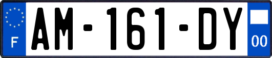 AM-161-DY