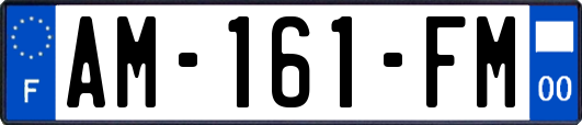 AM-161-FM