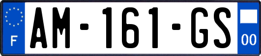 AM-161-GS
