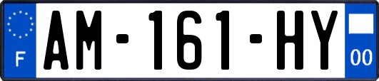 AM-161-HY