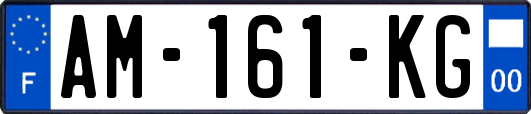 AM-161-KG