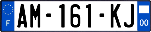 AM-161-KJ