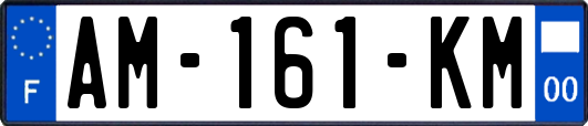 AM-161-KM