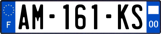 AM-161-KS