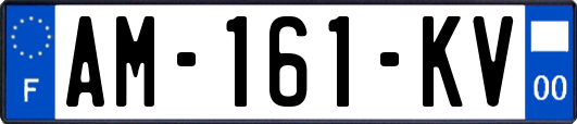AM-161-KV