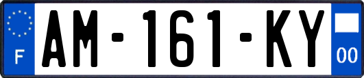 AM-161-KY
