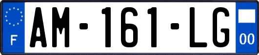 AM-161-LG