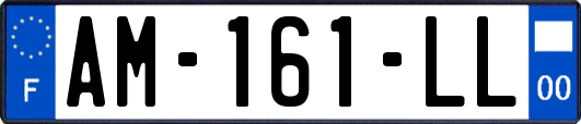 AM-161-LL