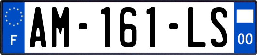 AM-161-LS