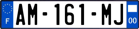 AM-161-MJ