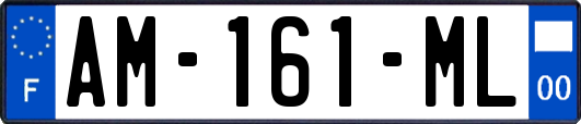 AM-161-ML