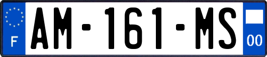 AM-161-MS