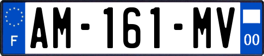 AM-161-MV