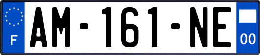 AM-161-NE