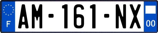 AM-161-NX