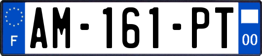AM-161-PT