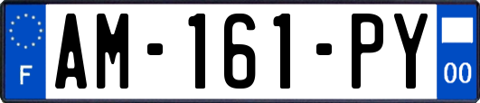 AM-161-PY