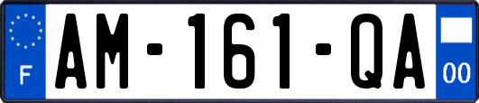 AM-161-QA