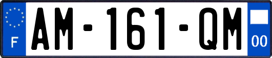 AM-161-QM