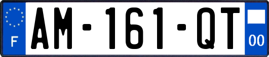 AM-161-QT