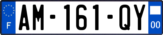 AM-161-QY