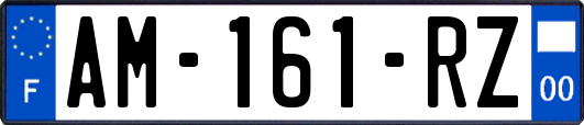 AM-161-RZ